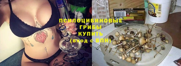 кристаллы Краснослободск