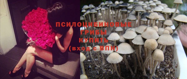 винт Краснотурьинск