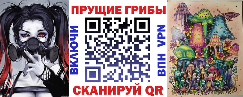 Купить  Сорочинск  Галлюциногенные грибы Magic Shrooms 